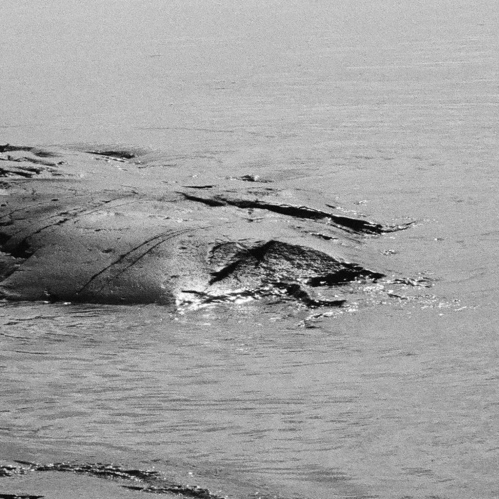 Meet your Posher, Ezra